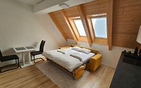 Apartment No. 36 - Riviera Lipno Nad Vltavou 511